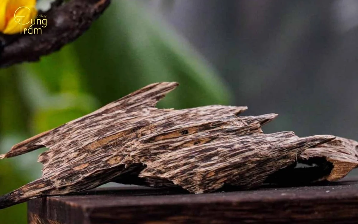 Trầm tự nhiên Lào