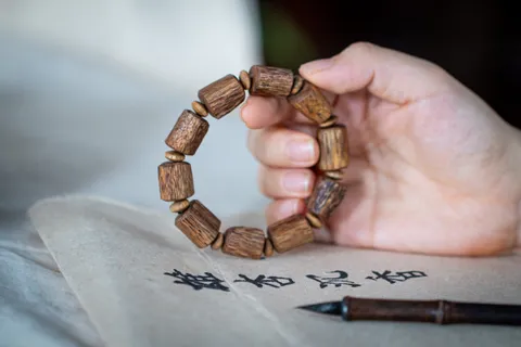 10018 | BÌ THÔ RỪNG LỰA_img